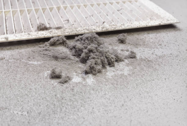 Best Residential Air Duct Cleaning  in Hinesville, GA